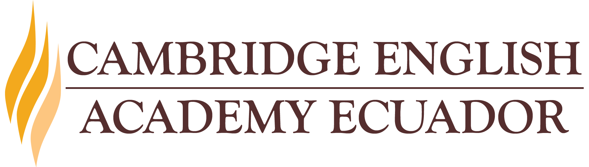 Cambridge English Academy Ec